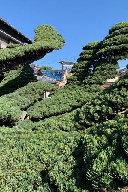 造園