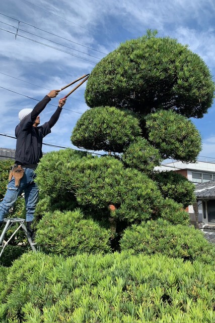 造園